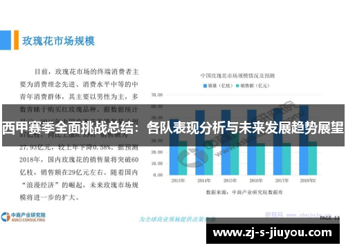 西甲赛季全面挑战总结：各队表现分析与未来发展趋势展望