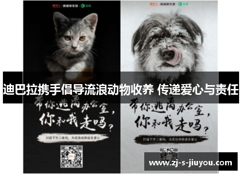 迪巴拉携手倡导流浪动物收养 传递爱心与责任 迪巴拉携手倡导流浪动物收养 传递爱心与责任