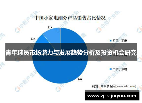 青年球员市场潜力与发展趋势分析及投资机会研究 青年球员市场潜力与发展趋势分析及投资机会研究