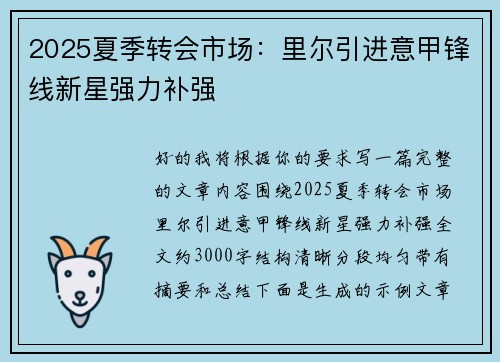 2025夏季转会市场：里尔引进意甲锋线新星强力补强